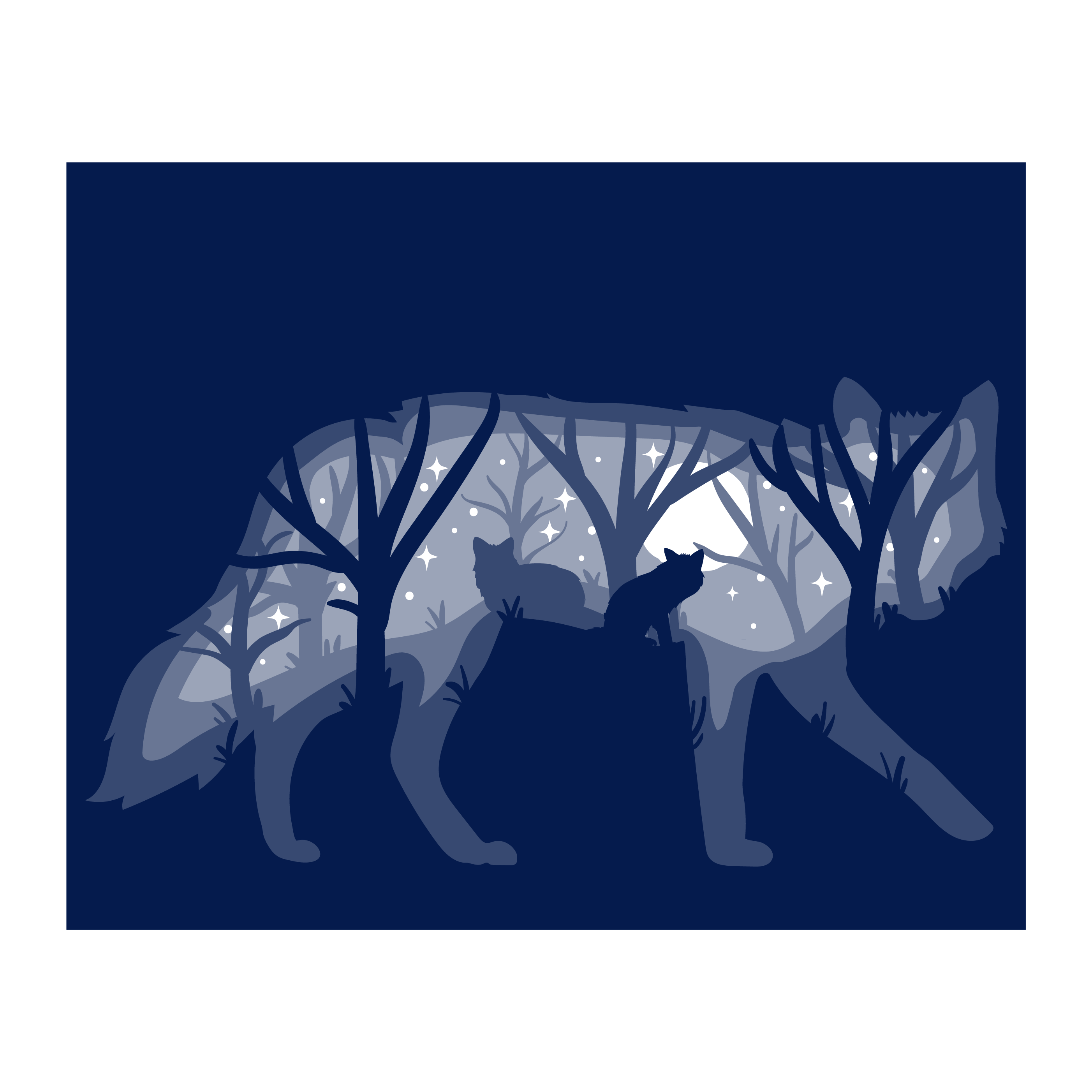 Night Fox