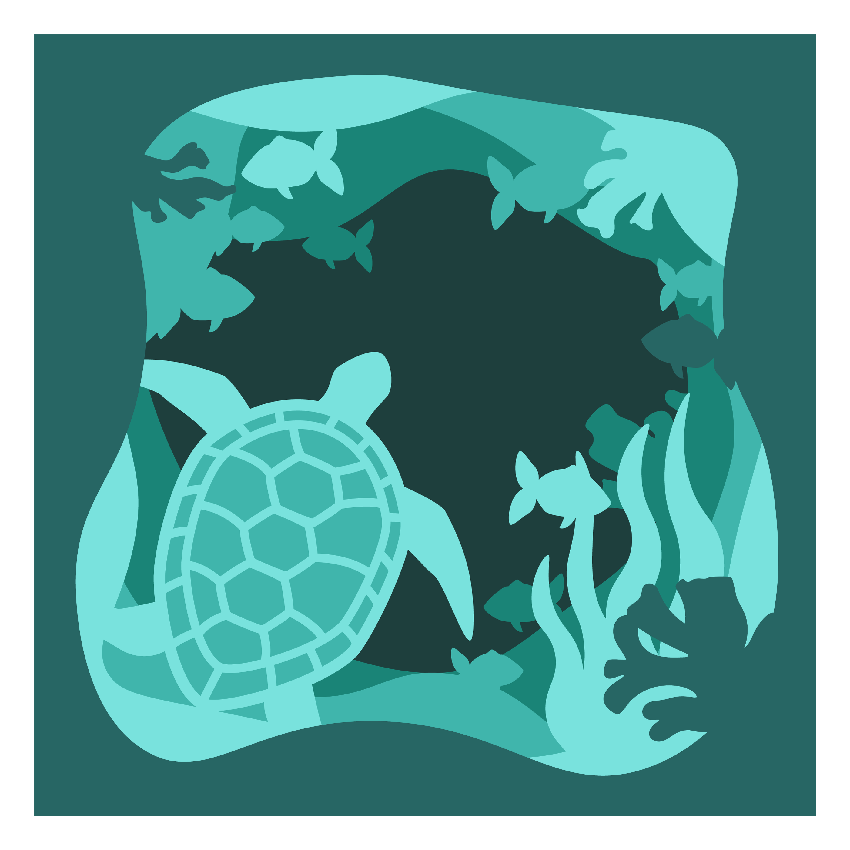 Sea Turtle