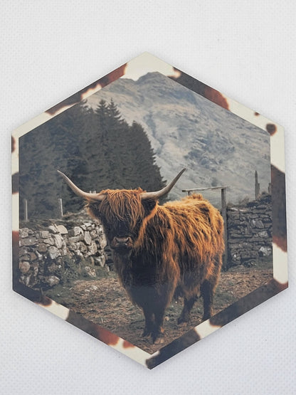 Sublimation Coasters - Cow Collection