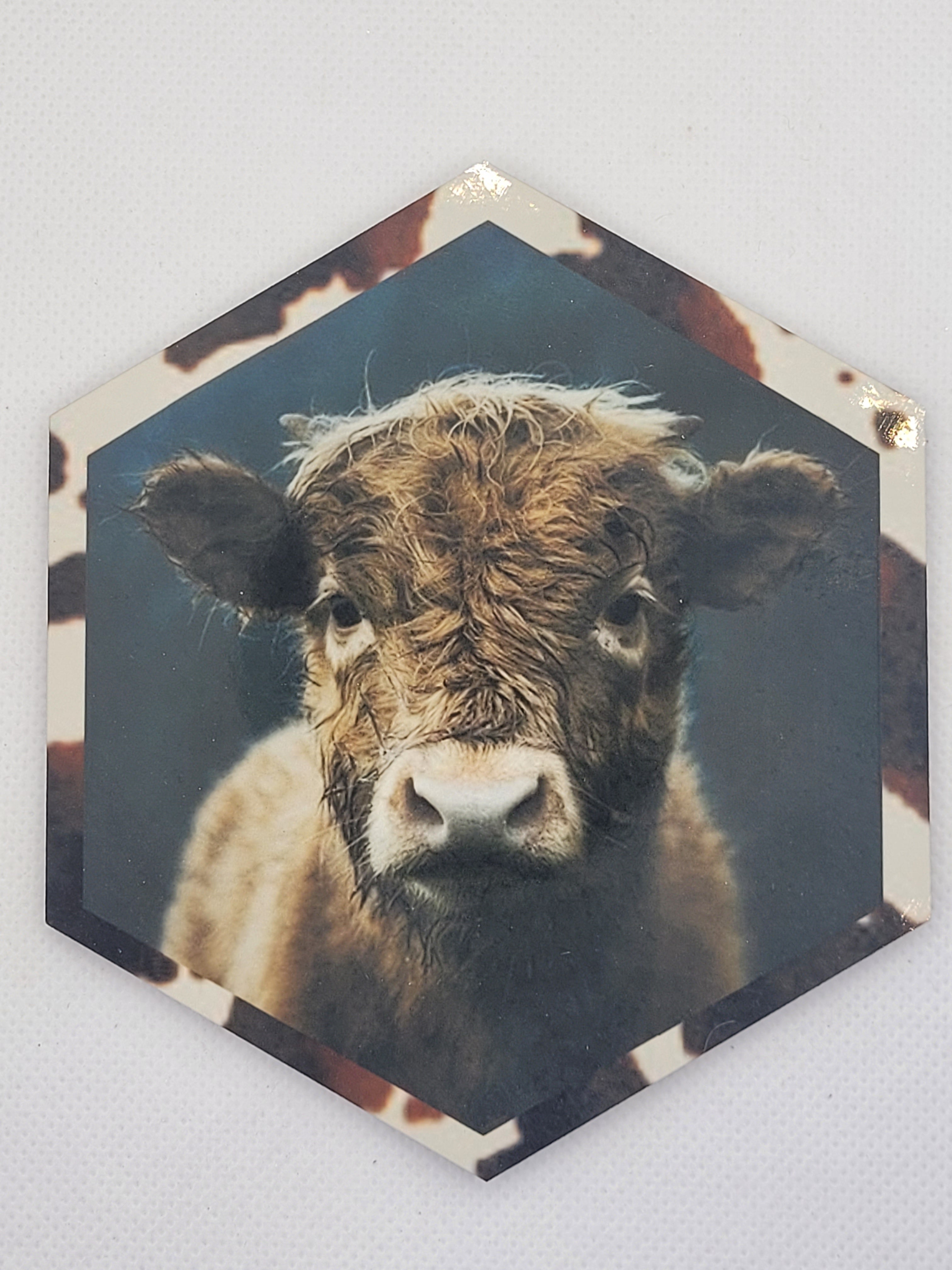 Sublimation Coasters - Cow Collection