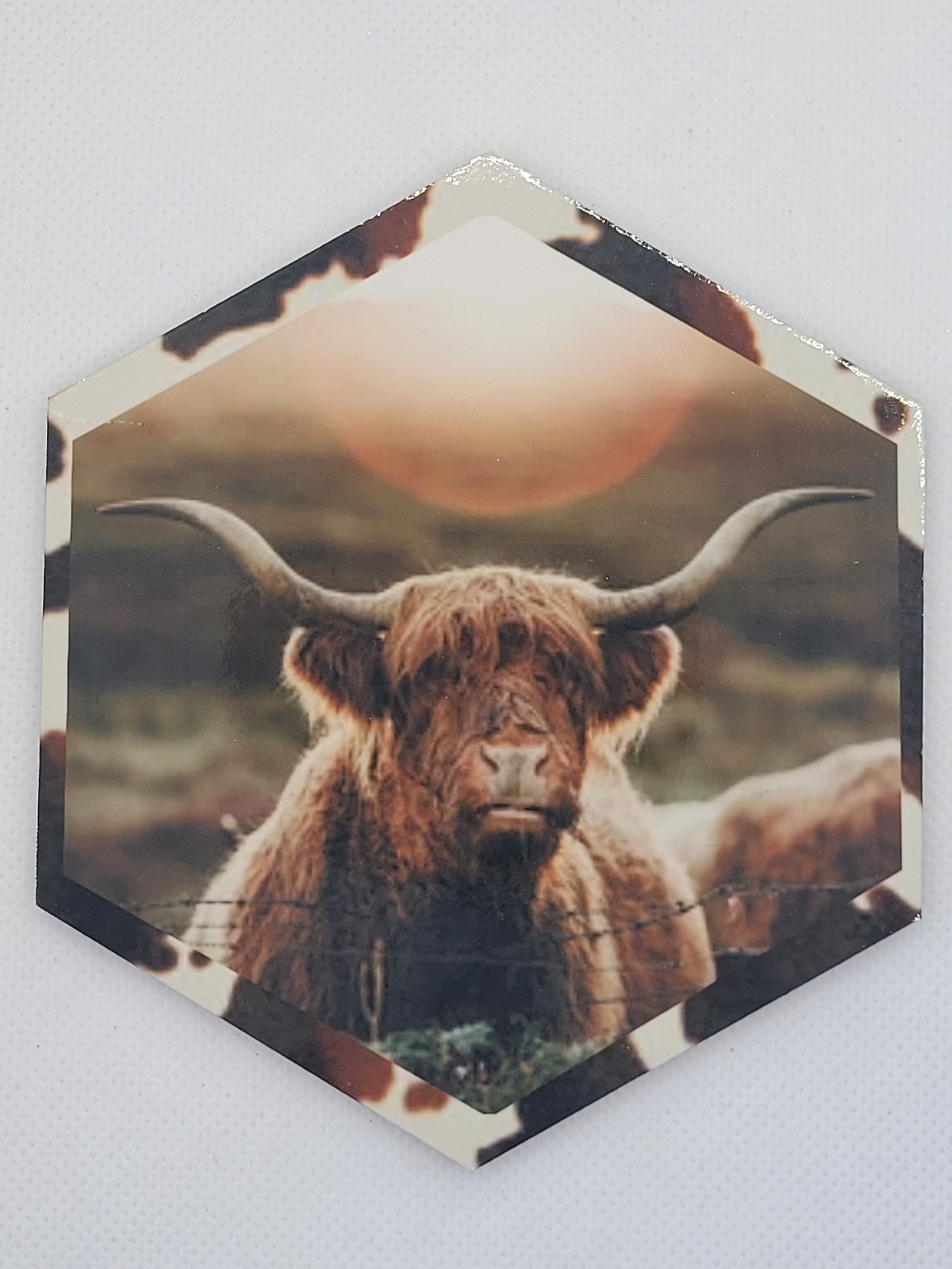 Sublimation Coasters - Cow Collection